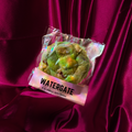 Watergate
